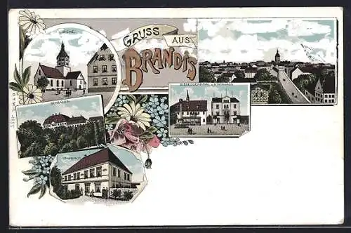 Lithographie Brandis / Wurzen, Siegesdenkmal u. Stadthaus, Kirche, Schloss, Pfarrhaus