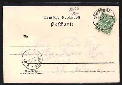Lithographie Schernberg, Gasthaus am Marktplatz mit Bismarcklinde, Fürstl. Domaine