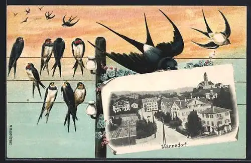 AK Männedorf, Ortsansicht im Passepartout mit Schwalben