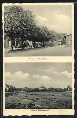 AK Süderlügum, Kolonie Wimmersbüll, Strassenansicht