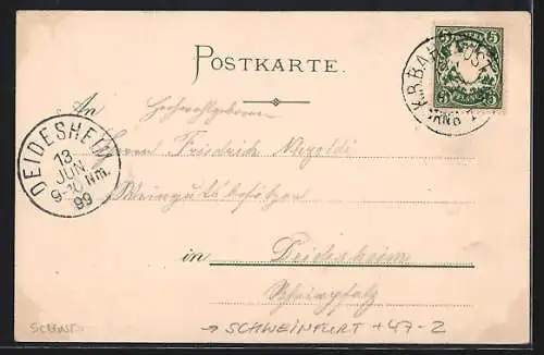 AK Schweinfurt, A. Ph. V. sei`s Panier, Studentenwappen