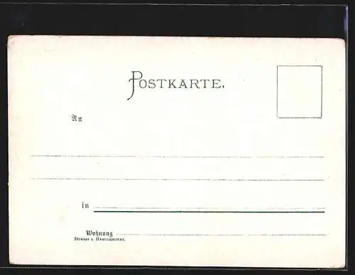 Lithographie Bamberg, Altenburg, Michaelsberg, Dom, Rathaus, Totalansicht