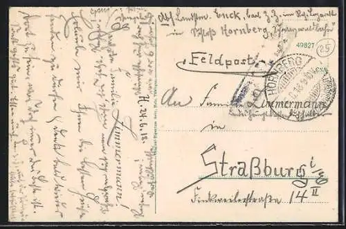 AK Hornberg /bad. Schwarzw., Schlosshotel und Ortsansicht