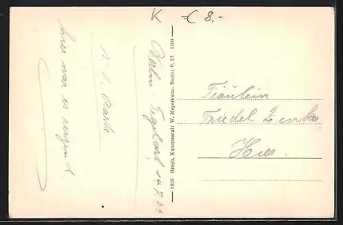 AK Berlin-Tegel, Restaurant Bellevue mit Wasserpartie