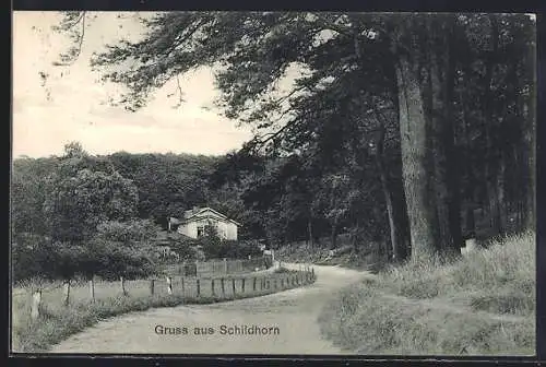 AK Berlin-Grunewald, Schildhorn, Waldpartie mit Haus