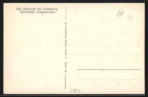 AK Heidelberg, Neckartal-Panorama mit Schlierbach und Ziegelhausen
