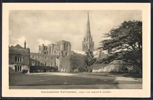 AK Chichester, Cathedral viewd from the Bishop`s Garden
