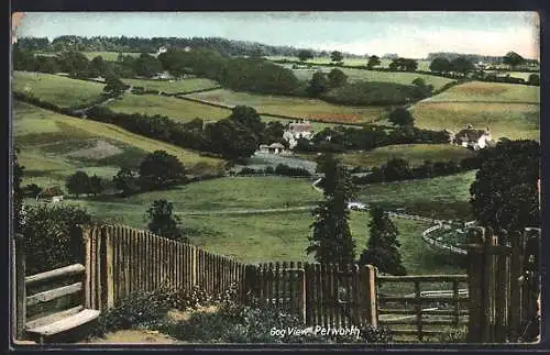AK Petworth, Gog View