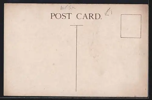 AK Brighton, The Palace Pier, showing Theatre and New Winter Garden