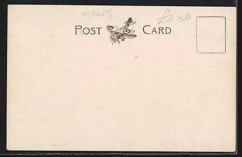 AK Margate, Harbour and Jetty from the Air