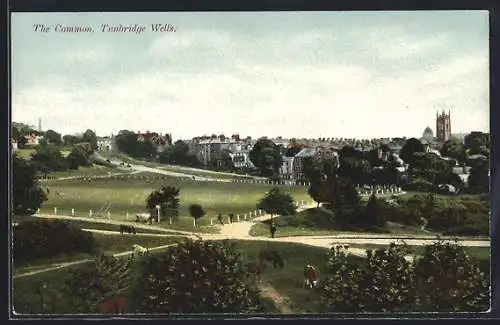 AK Tunbridge Wells, The Common