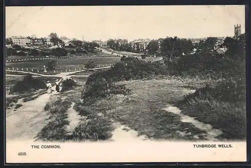 AK Tunbridge Wells, The Common