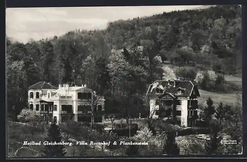 AK Gleichenberg, Villa Rosenhof und Plankenstein