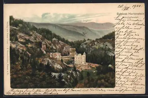 AK Hartenstein, Schloss aus der Vogelschau, Naturheilanstalt