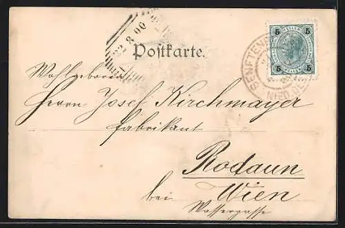 AK Hartenstein, Schloss aus der Vogelschau, Naturheilanstalt