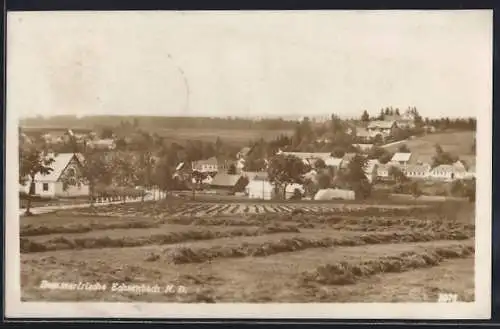 AK Echsenbach /N. D., Ortsansicht mit Feldern