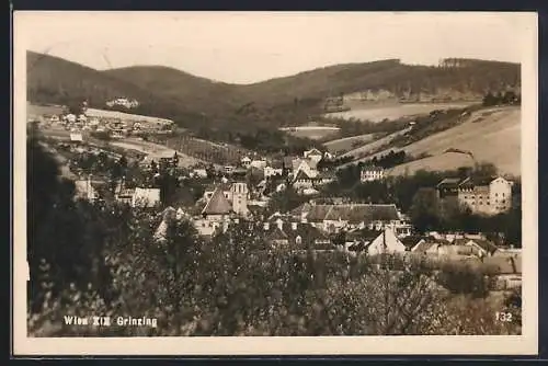 AK Wien, Grinzing, Teilansicht mit Umgebung