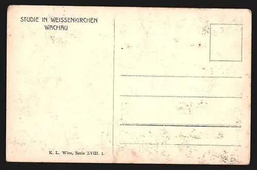 AK Weissenkirchen /Wachau, Blick über die Dächer