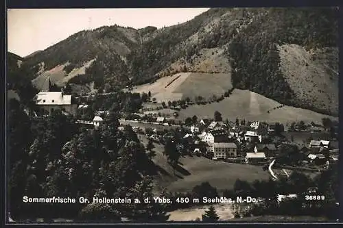 AK Gr. Hollenstein a. d. Ybbs., Ortsansicht mit Bergen