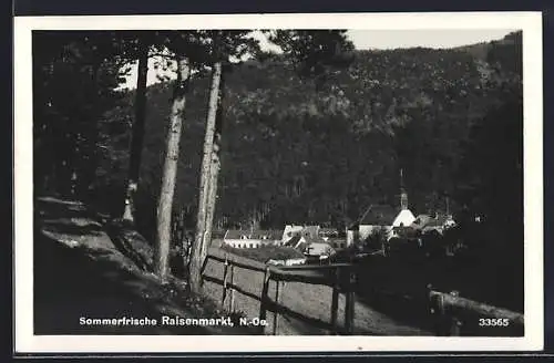 AK Raisenmarkt, Ortsansicht mit Kirche