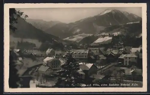 AK Gr. Hollenstein a. d. Ybbs, Ortsansicht mit Ybbstal