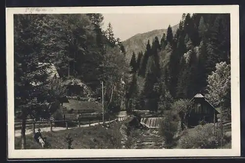 AK Neuberg /Mürz, Blick auf den Ort Tyrol