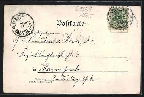 Lithographie Sebnitz, Gasthaus Grenadierburg, Postgebäude, Kath. Kirche, Liebespaar