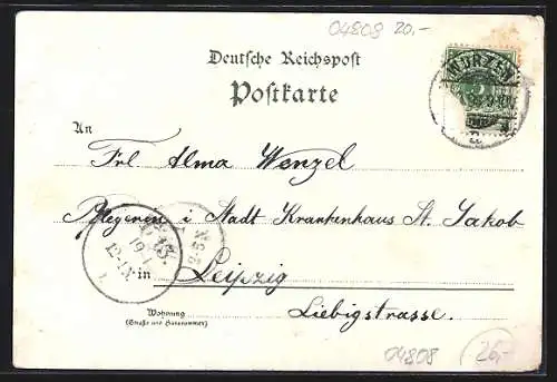 Lithographie Wurzen, Ortspanorama, das Amtsgericht, Gymnasium und Domkirche