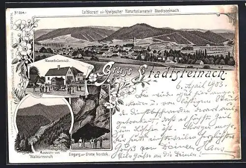 Lithographie Stadtsteinach, Eingang zur Grotte Nordek, Wasserheilanstalt, Aussicht von Walkürenruh, Panorama