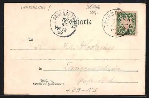 Winter-Lithographie Triesdorf, Falkenhaus, Kreisackerbauschule, Markgräfl. Sommerresidenz