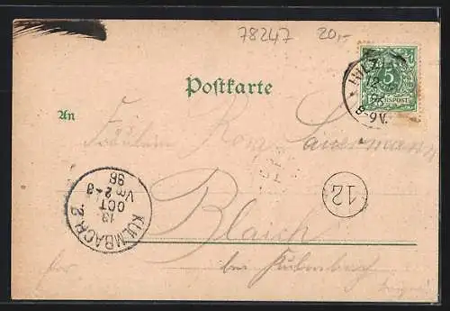 Lithographie Hilzingen, Ortsansicht aus der Vogelschau