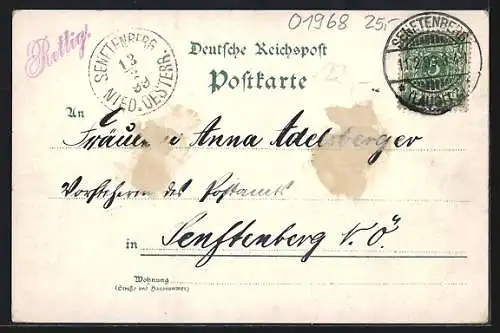 Lithographie Senftenberg /N. L., Höhere Töchterschule, Reppisterwerke, Marktplatz, Werkskrankenhaus und Post