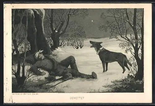 Künstler-AK Sanitätshund hat einen Verwundeten entdeckt