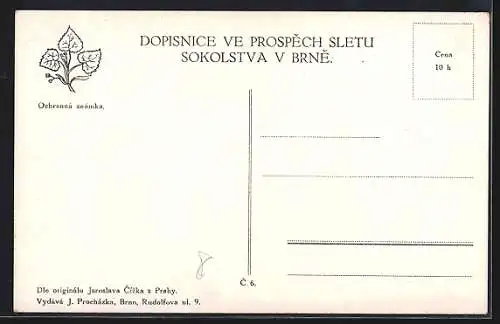 AK Brünn / Brno, Zajezd Ceske obce Sokolske 1914