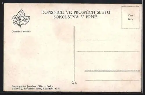AK Brünn / Brno, Zajezd Ceske obce Sokolske 1914