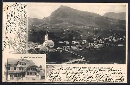AK Nesslau /Ober-Toggenburg, Gasthof zur Krone, Ortsansicht aus der Vogelschau