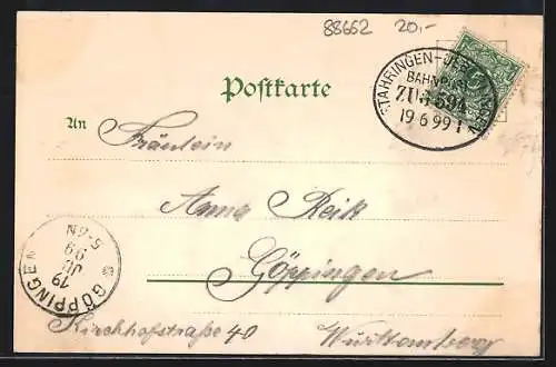 Lithographie Ueberlingen / Bodensee, Ortsansicht, Bahnhof-Hotel