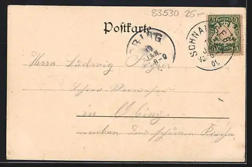 AK Schnaitsee, Parthie bei Kling mit Burgruine, Totalansicht