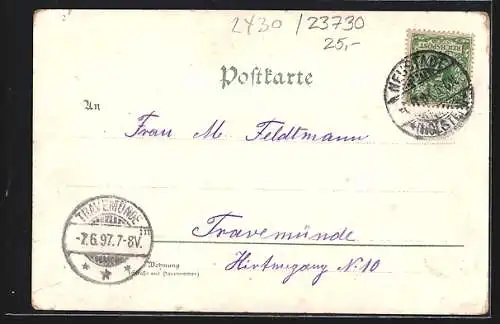 Lithographie Neustadt i / Holst., Julienbad, Amtsgericht und Postgebäude, Kirche