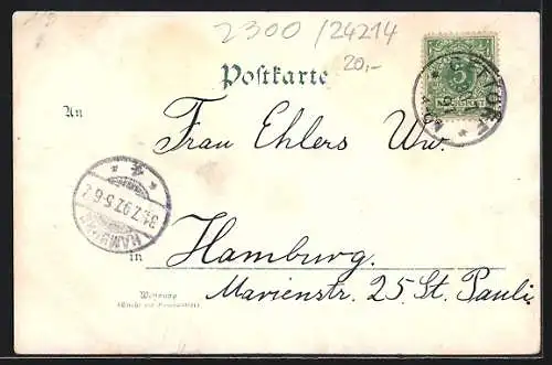 Lithographie Gettorf, Kaiser-Denkmal, Teilansicht der Ortschaft