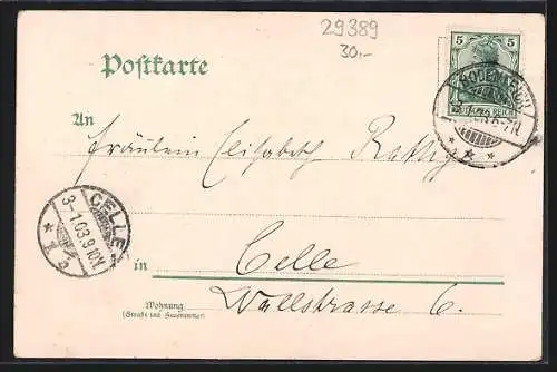 Lithographie Bodenteich, Bahnhofs-Hotel von Heinr. Lahmann, Bahnhof, Beamtenhaus und Kruskop`s Hotel