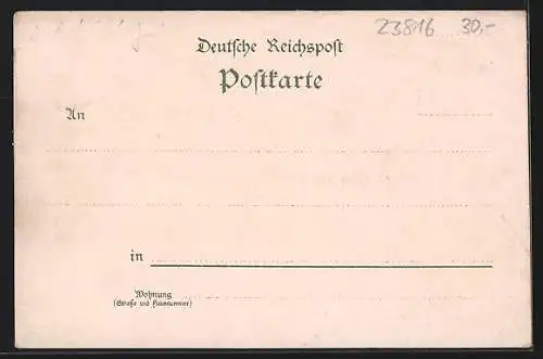 Lithographie Leezen / Segeberg, Logirhaus Wrage, Hoffmann`s Kinderpflage, Pastorat und Kirche