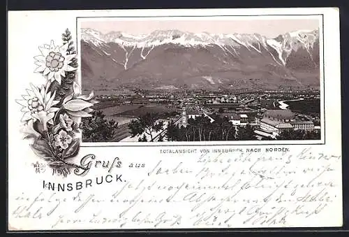 Vorläufer-Lithographie Innsbruck, 1895, Totalansicht nach Norden, Edelweiss und Enzian