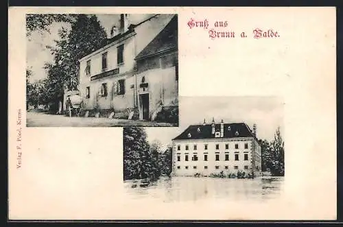 AK Brunn a. Walde, Gasthaus zur weissen Rose, Wasserschloss