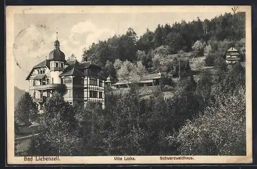 AK Bad Liebenzell, Villa Lioba und Schwarzwaldhaus