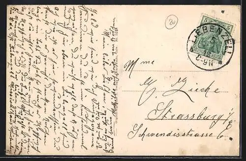 AK Bad Liebenzell, Villa Lioba und Schwarzwaldhaus