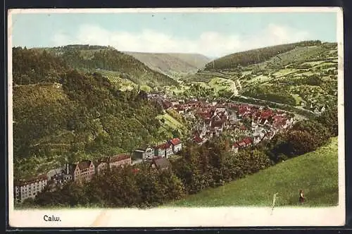 AK Calw, Gesamtansicht