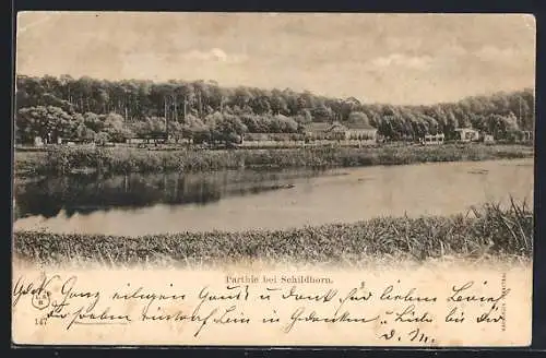 AK Berlin-Grunewald, Schildhorn, Partie bei Schildhorn