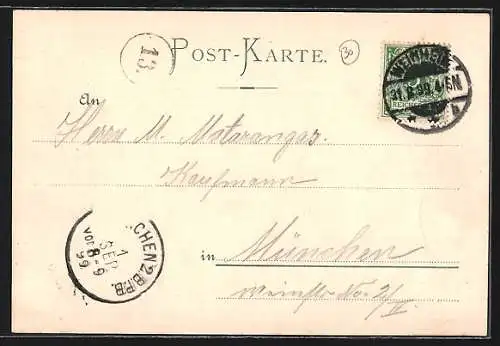 AK Weinheim an der Bergstrasse, Ortsansicht mit Burg