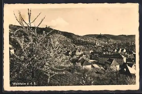 AK Weinheim a. d. B., Ortsansicht im Frühling